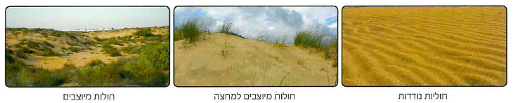 (בספר 5 תמונות)